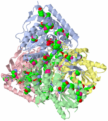 Image Asym./Biol. Unit