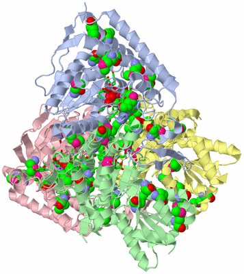 Image Asym./Biol. Unit - sites