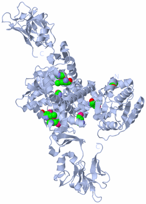 Image Biological Unit 1