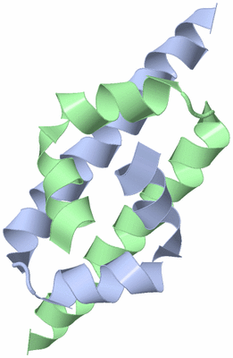 Image NMR Structure - model 1