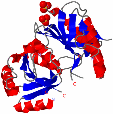 Image Asym./Biol. Unit