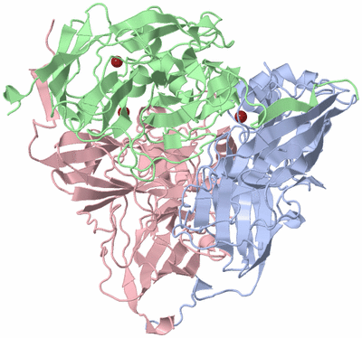 Image Asym./Biol. Unit