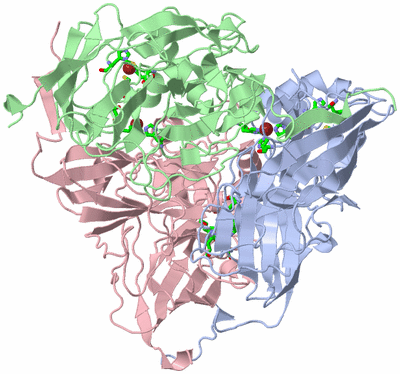 Image Asym./Biol. Unit - sites