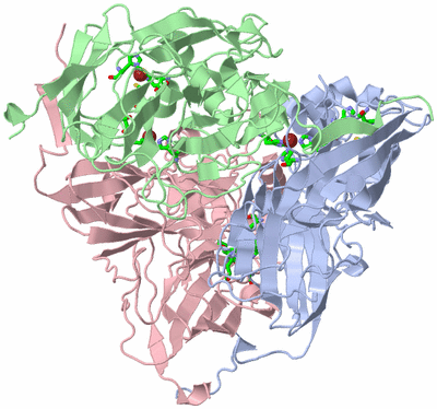 Image Asym./Biol. Unit - sites