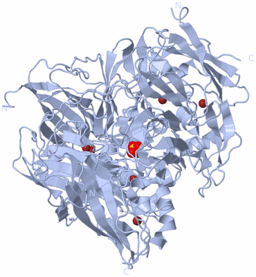 Image Biological Unit 1