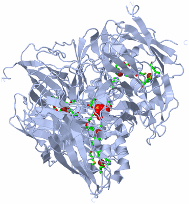 Image Biol. Unit 1 - sites