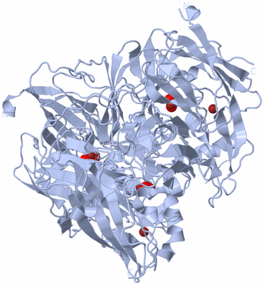 Image Biological Unit 1