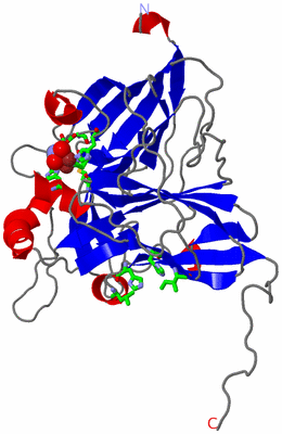 Image Asym. Unit - sites