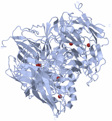 Image Biological Unit 1