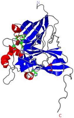 Image Asym. Unit - sites