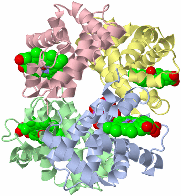 Image Asym./Biol. Unit