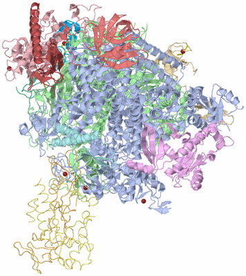 Image Asym./Biol. Unit