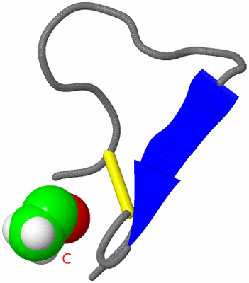 Image NMR Structure - model 1