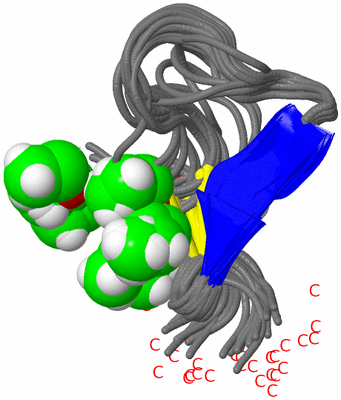 Image NMR Structure - all models