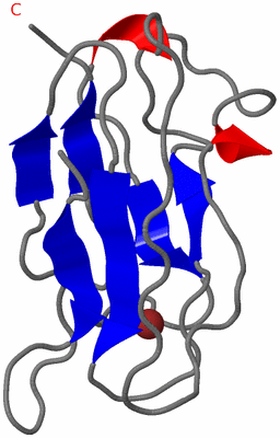 Image NMR Structure - model 1