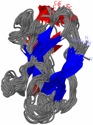 Image NMR Structure - all models