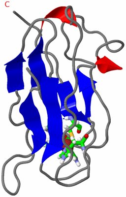 Image NMR Structure - model 1, sites