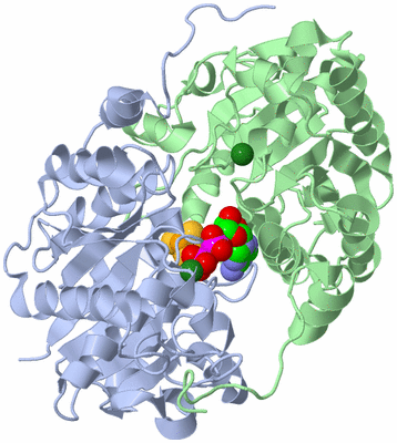 Image Asym./Biol. Unit