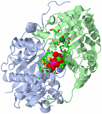 Image Asym./Biol. Unit - sites