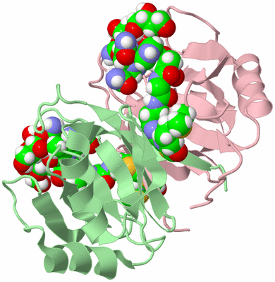 Image NMR Structure - all models