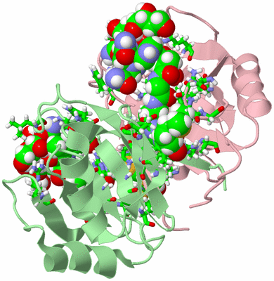 Image NMR Structure - model 1, sites