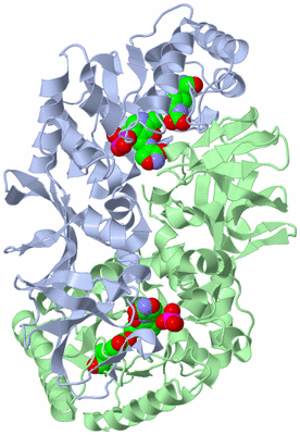 Image Asym./Biol. Unit