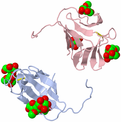 Image Asymmetric Unit
