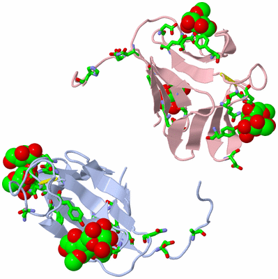 Image Asym. Unit - sites