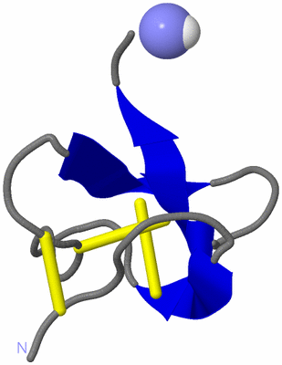 Image NMR Structure - model 1