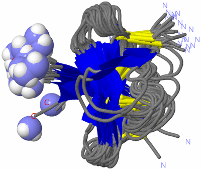 Image NMR Structure - all models