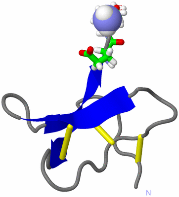 Image NMR Structure - model 1, sites