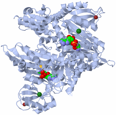 Image Biological Unit 1