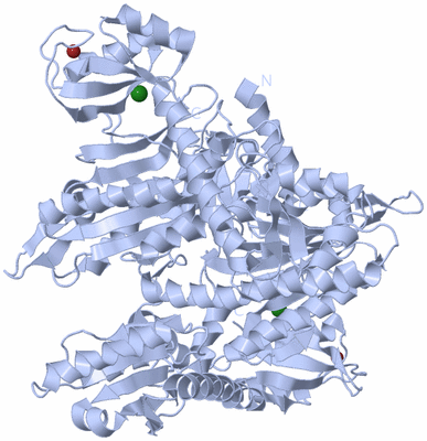 Image Biological Unit 1