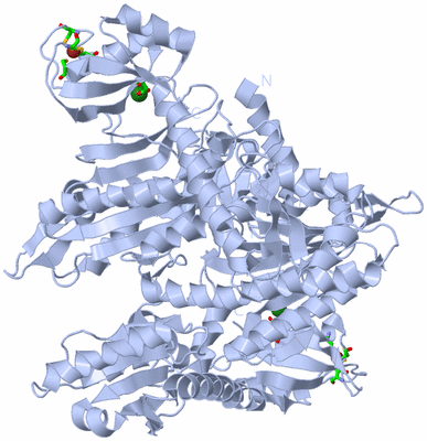 Image Biol. Unit 1 - sites