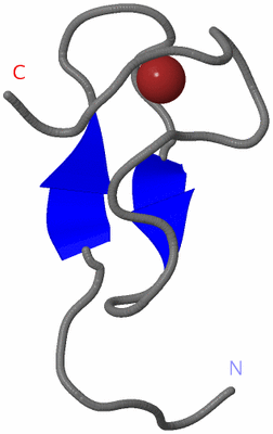 Image NMR Structure - model 1