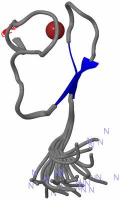 Image NMR Structure - all models