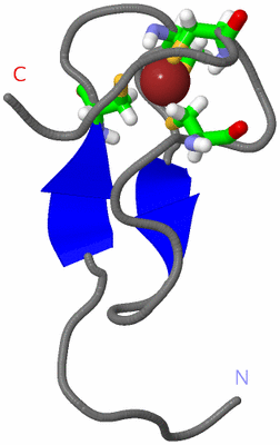 Image NMR Structure - model 1, sites