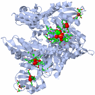 Image Biol. Unit 1 - sites