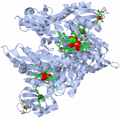 Image Biol. Unit 1 - sites