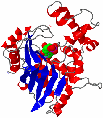 Image Asymmetric Unit