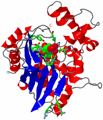 Image Asym. Unit - sites