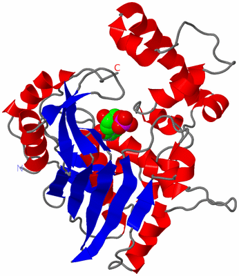 Image Asymmetric Unit