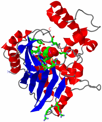 Image Asym. Unit - sites