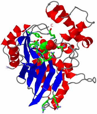 Image Asym. Unit - sites