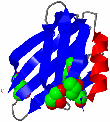 Image Asymmetric Unit
