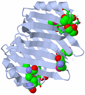 Image Biol. Unit 1 - sites
