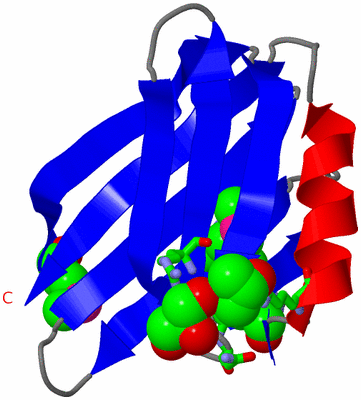Image Asym. Unit - sites