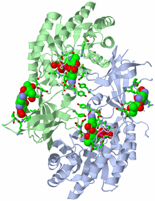 Image Biol. Unit 1 - sites