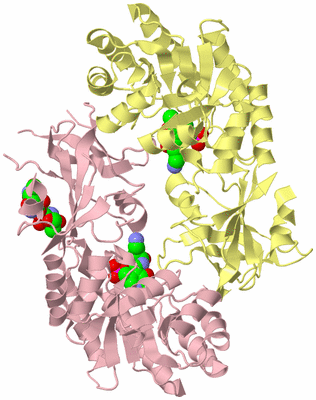 Image Biological Unit 2