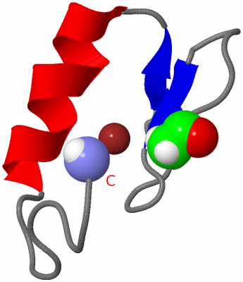 Image NMR Structure - model 1